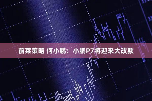 前莱策略 何小鹏：小鹏P7将迎来大改款