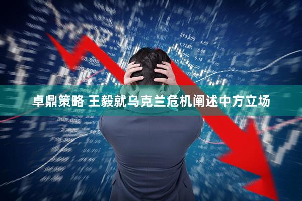 卓鼎策略 王毅就乌克兰危机阐述中方立场