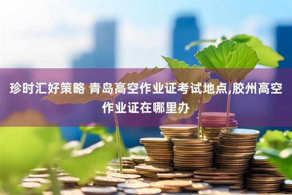珍时汇好策略 青岛高空作业证考试地点,胶州高空作业证在哪里办