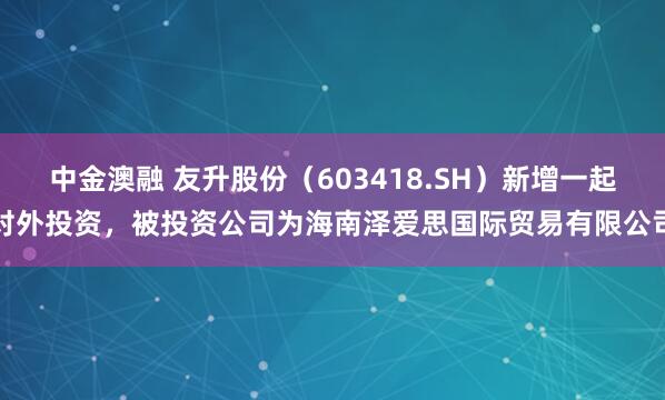 中金澳融 友升股份（603418.SH）新增一起对外投资，被投资公司为海南泽爱思国际贸易有限公司